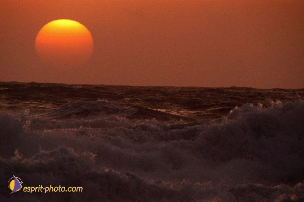 Nom de l'image : EP08-0382_(c)Norbert-JUNG — Description :